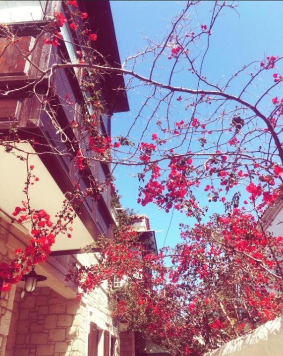 Alayaz Hotel Alacati Kültér fotó